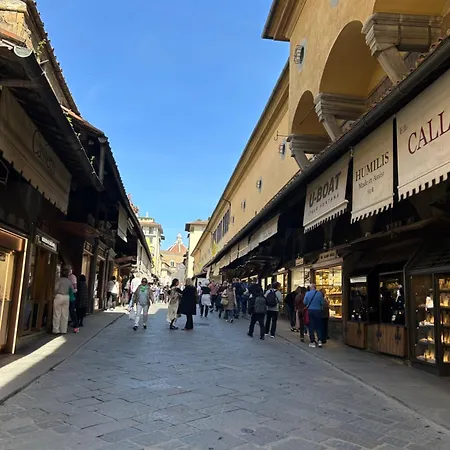 Appartement Borgo San Jacopo 8 *