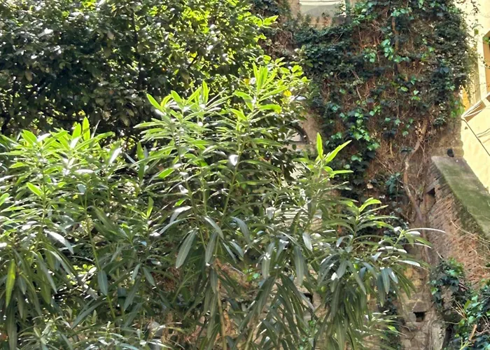 Borgo San Jacopo 8 Lägenhet Florens